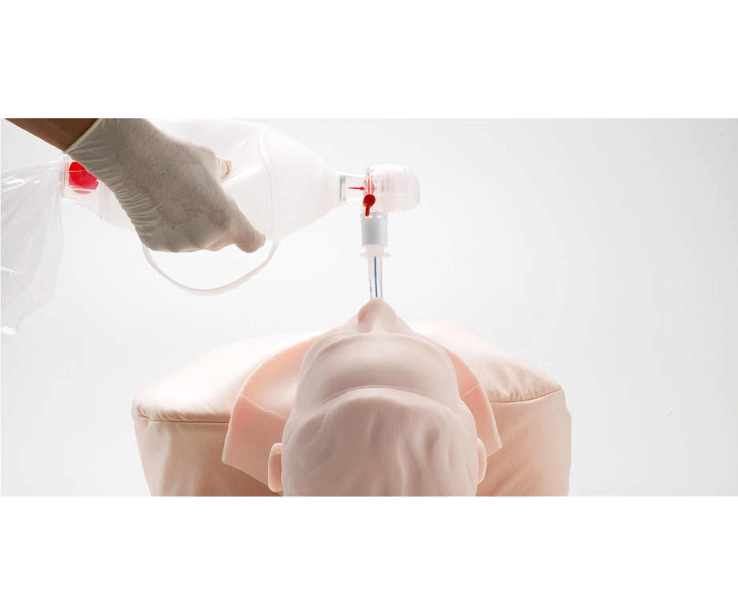 Airway Management Trainer, Light