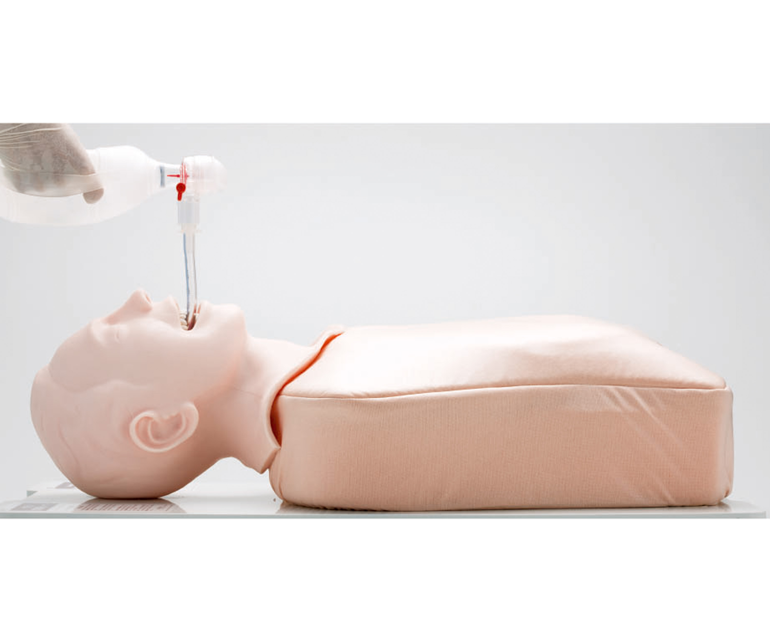 Airway Management Trainer, Light