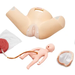 Obstetric Assistant Trainer, Light