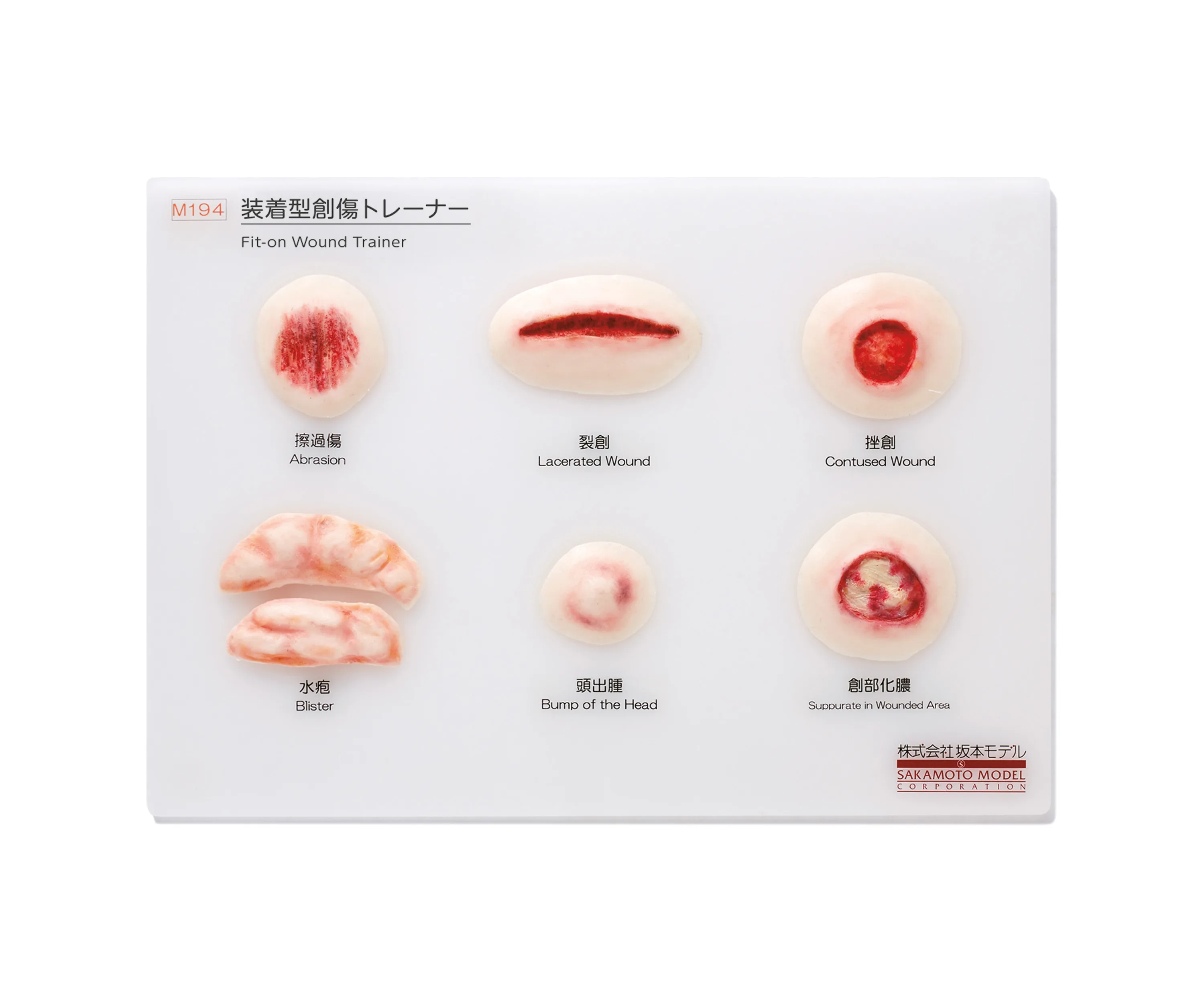 Wearable Wound Trainer, Light