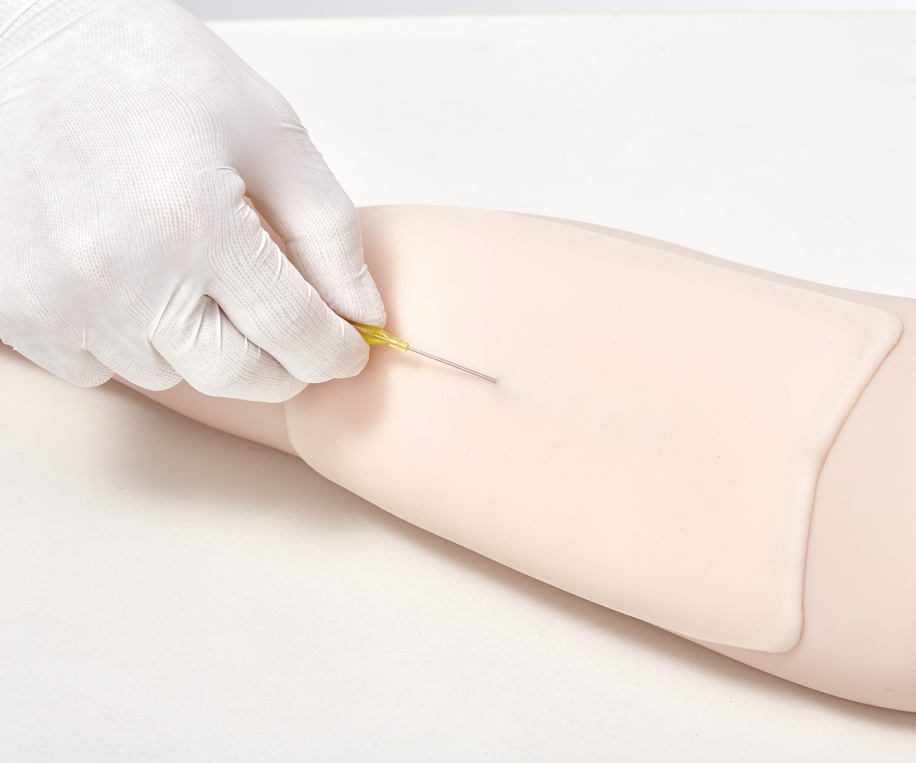 Ultrasound Guide PICC Trainer, Light