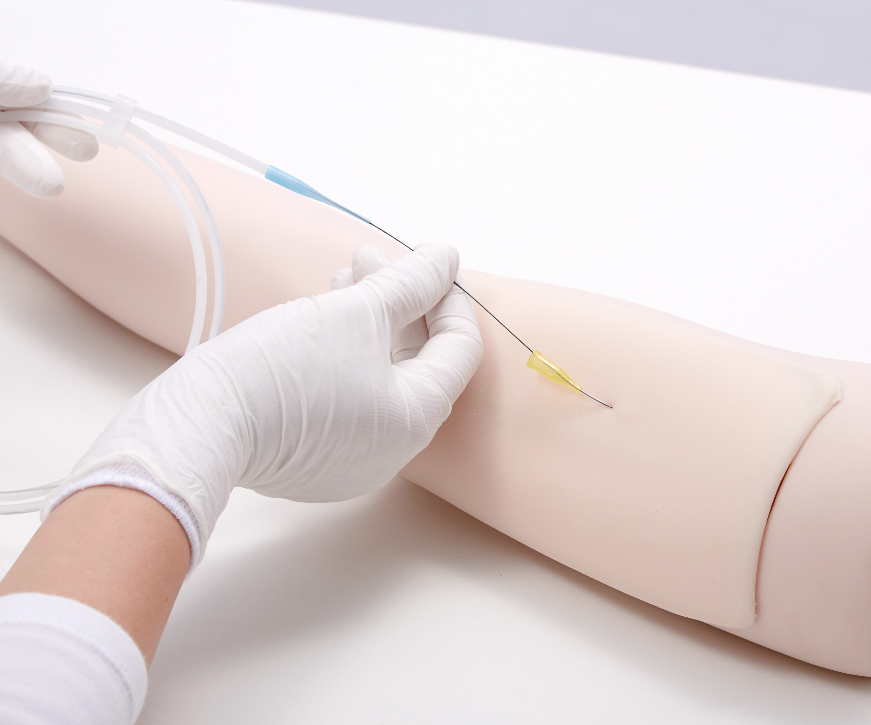 Ultrasound Guide PICC Trainer, Light