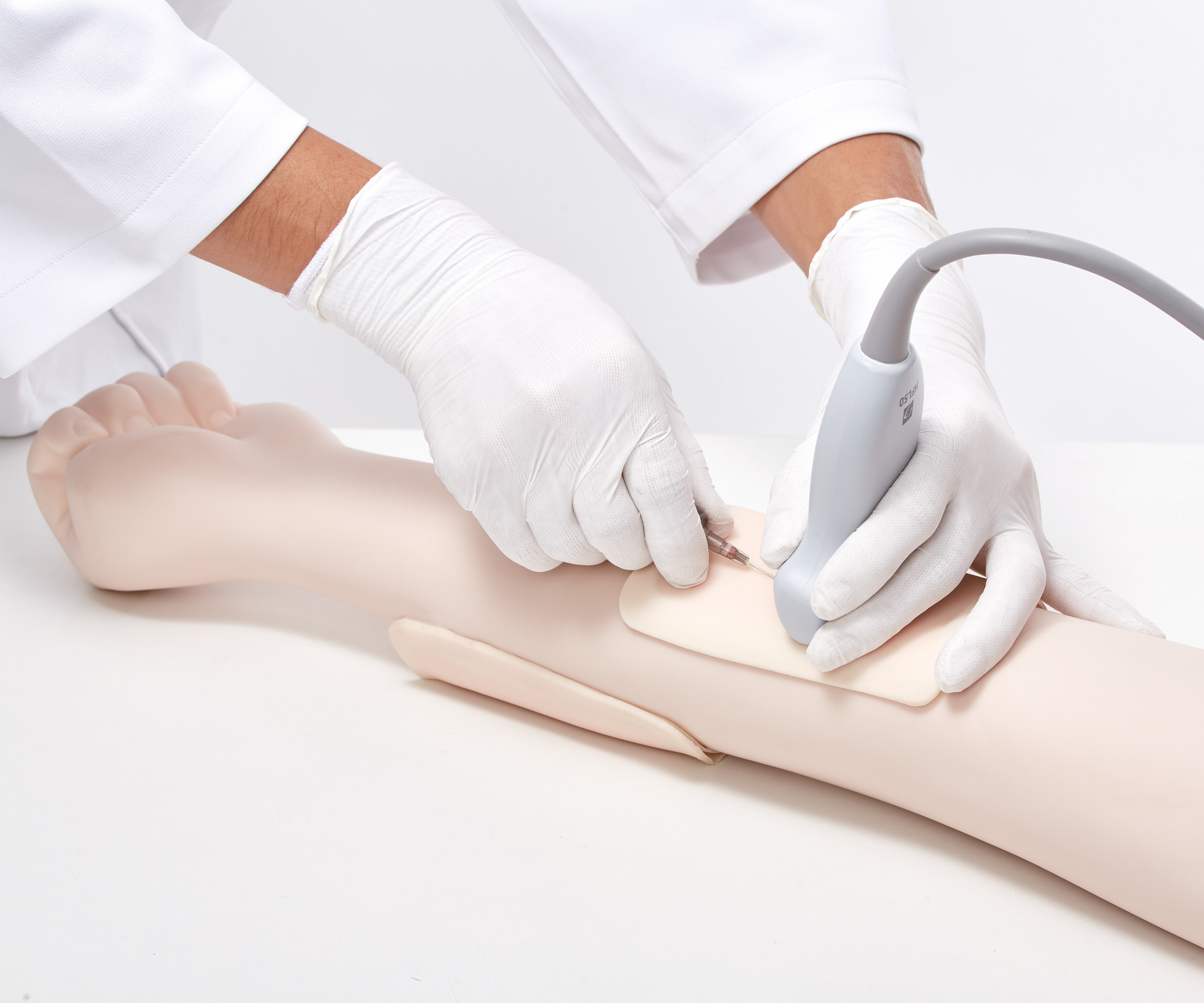 Ultrasound Guide Venipuncture Trainer, Light