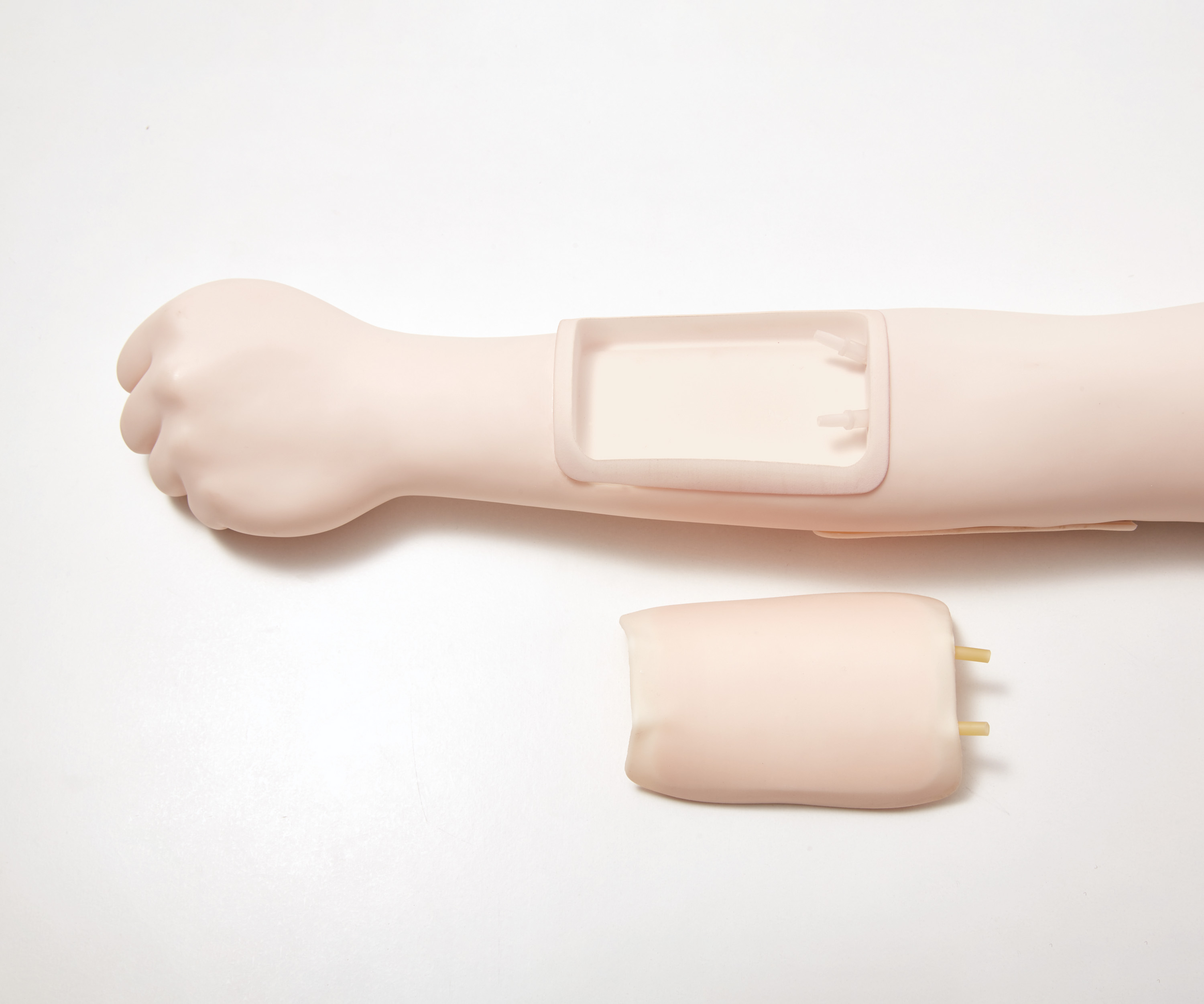 Ultrasound Guide Venipuncture Trainer, Light