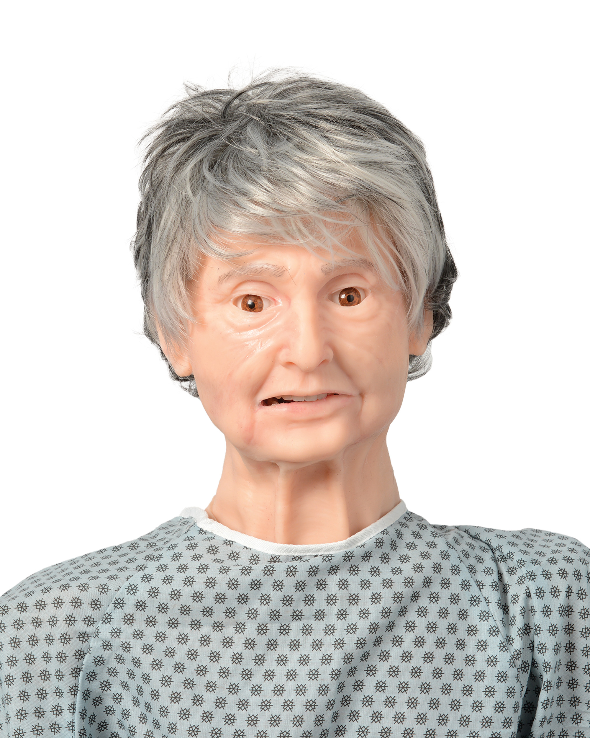 TERi™ Elderly Patient Skills Trainer, Light