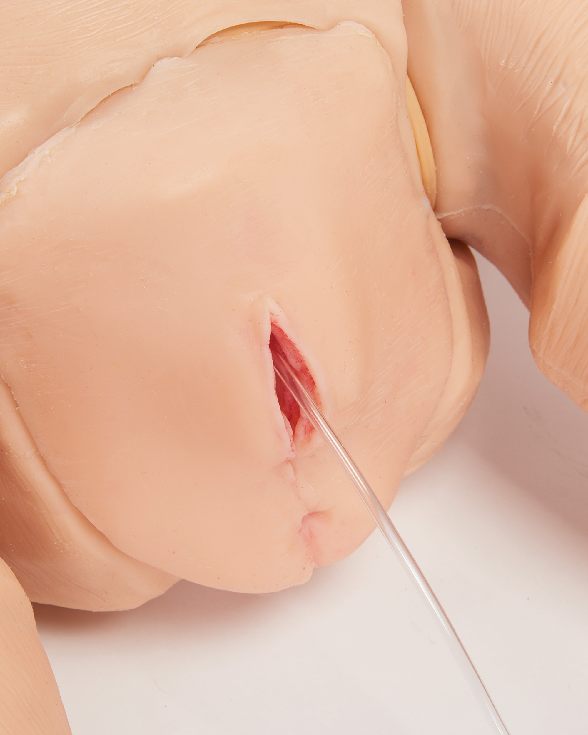 TERi™ Elderly Patient Skills Trainer, Light