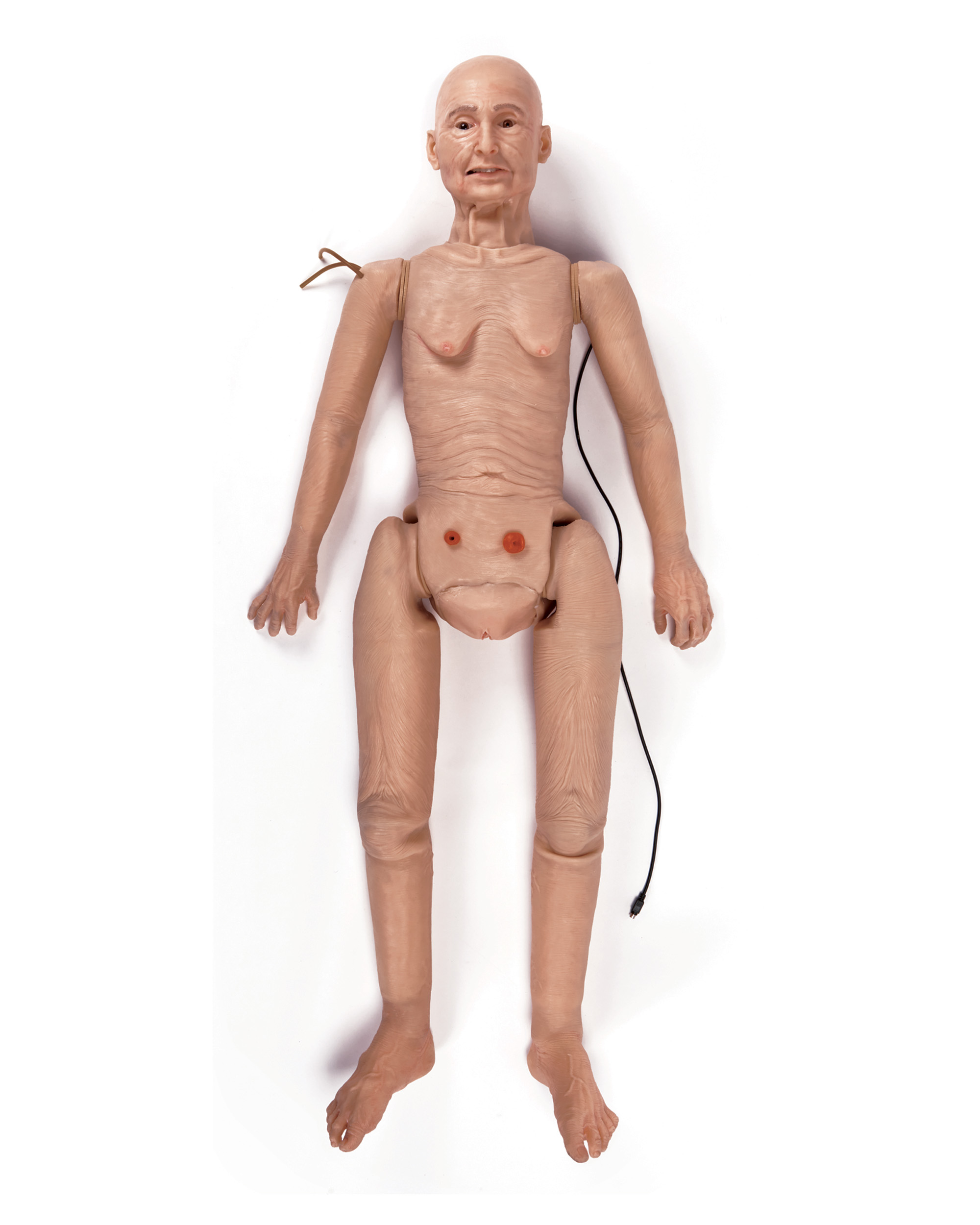 TERi™ Elderly Patient Skills Trainer, Light