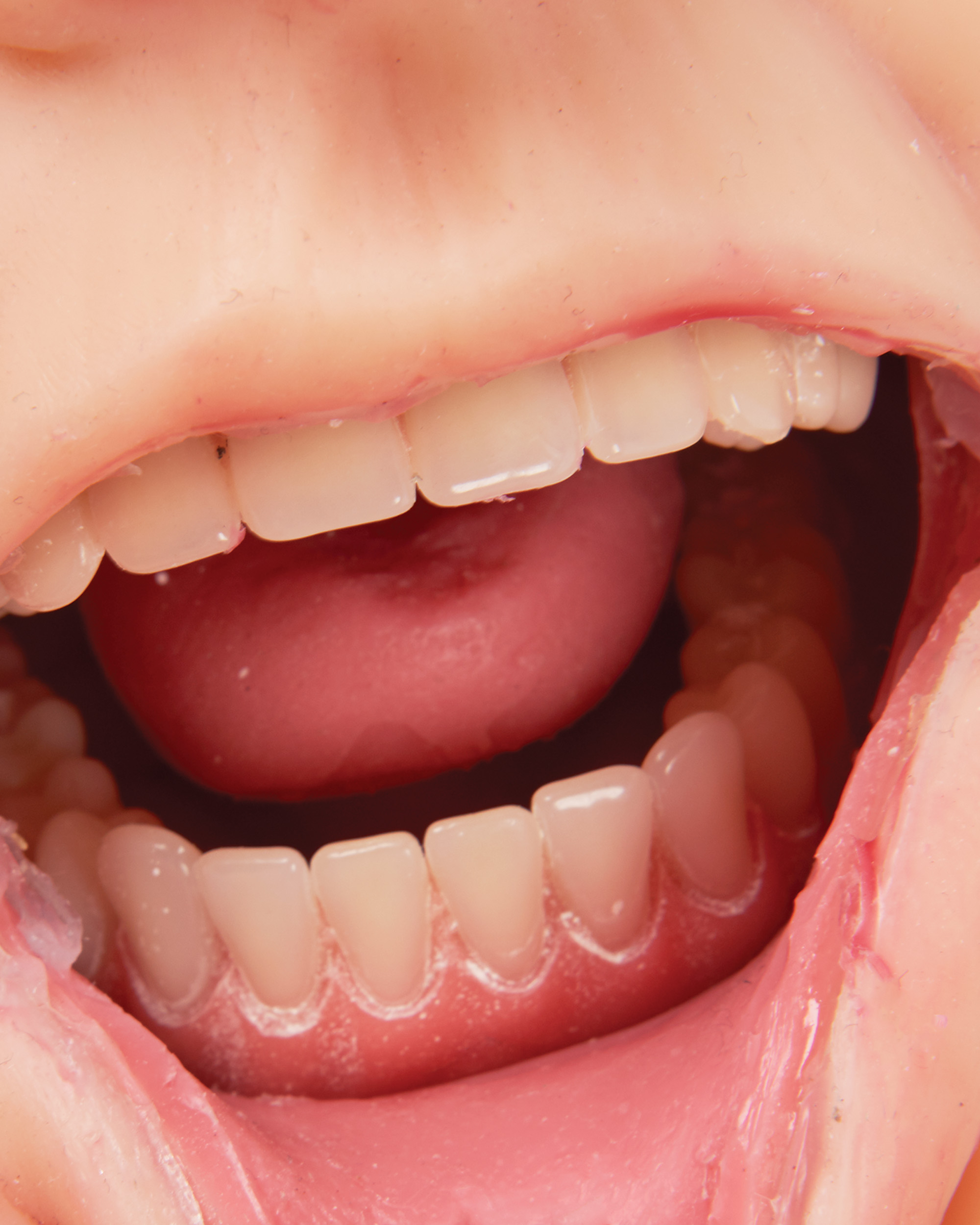 TERi™ Elderly Patient Skills Trainer, Light