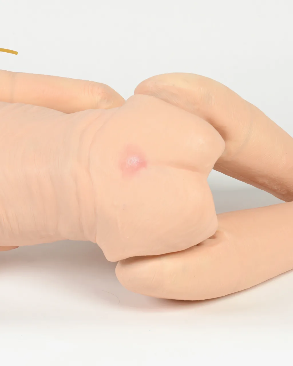TERi™ Elderly Patient Skills Trainer, Light