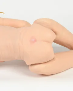 TERi™ Elderly Patient Skills Trainer, Light