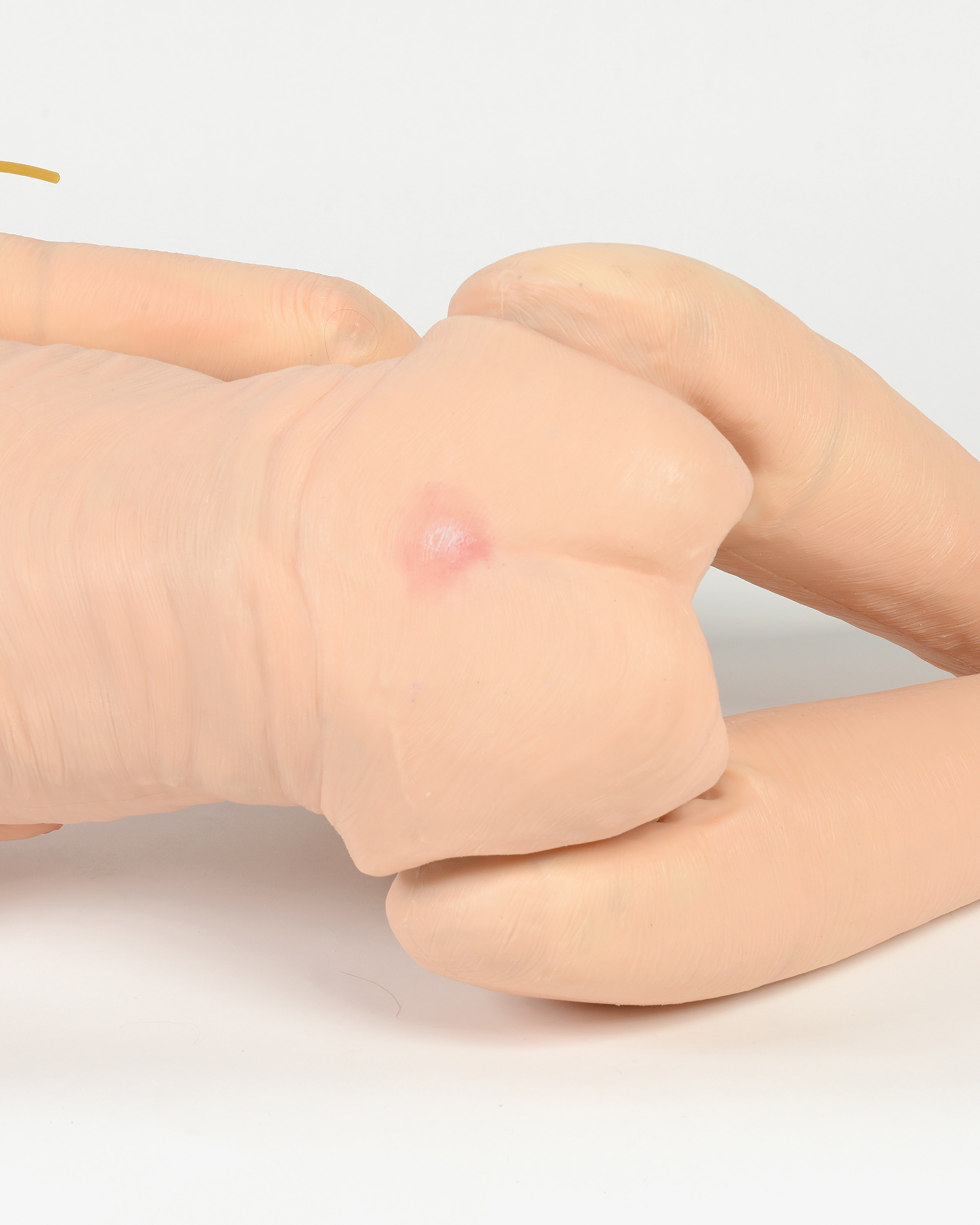 TERi™ Elderly Patient Skills Trainer, Light