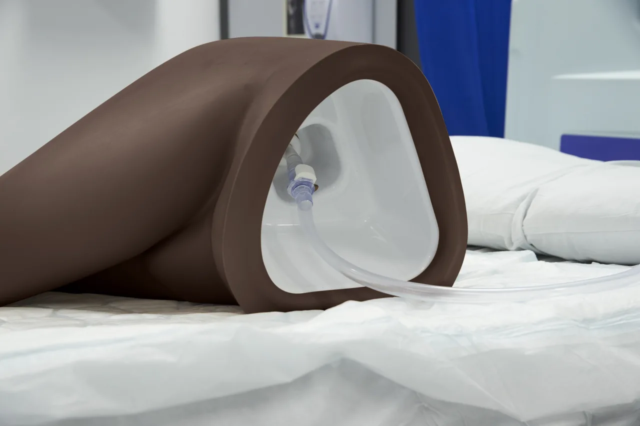 Rectal Examination, Stool Assessment and Enema Training Model, Dark