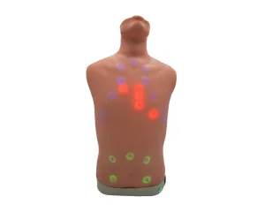 Auscultation Trainer 2.0, with Smartscope