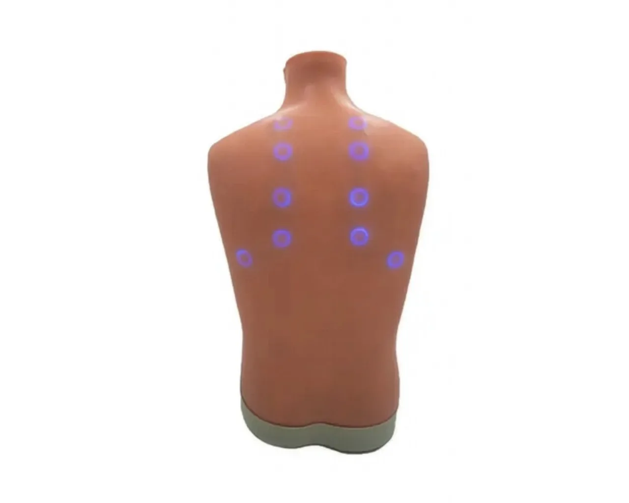 Auscultation Trainer 2.0, with Smartscope