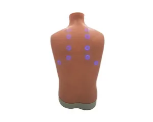 Auscultation Trainer 2.0, with Smartscope
