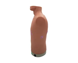 Auscultation Trainer 2.0, with Smartscope