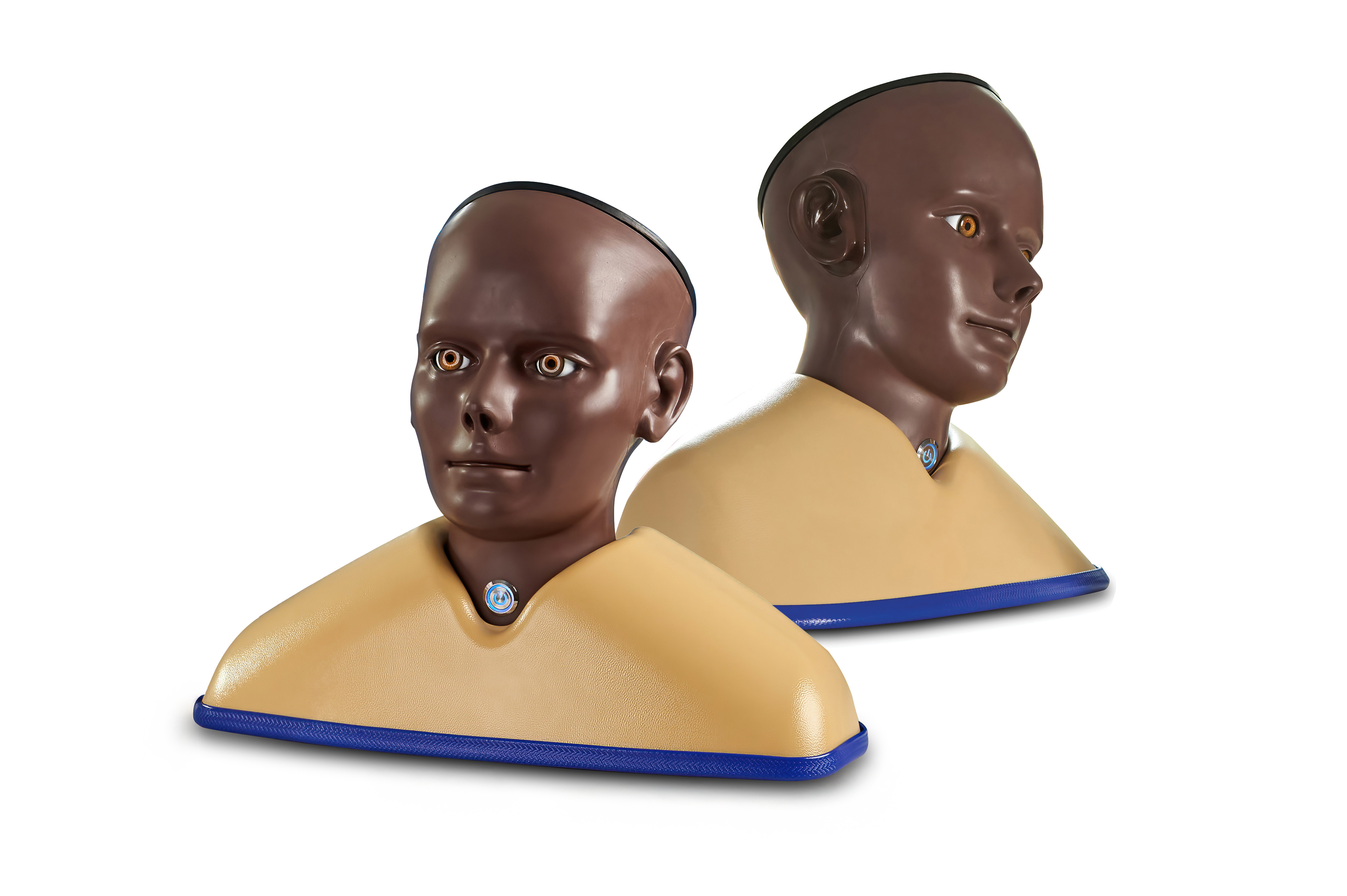 Enhanced Digital Eye and Ear Examination Trainer Set, Dark