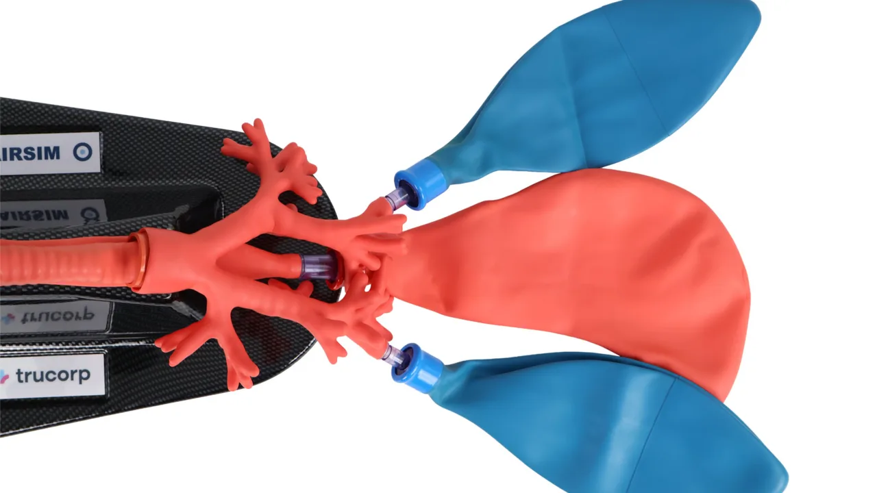 AirSim® Bronchi