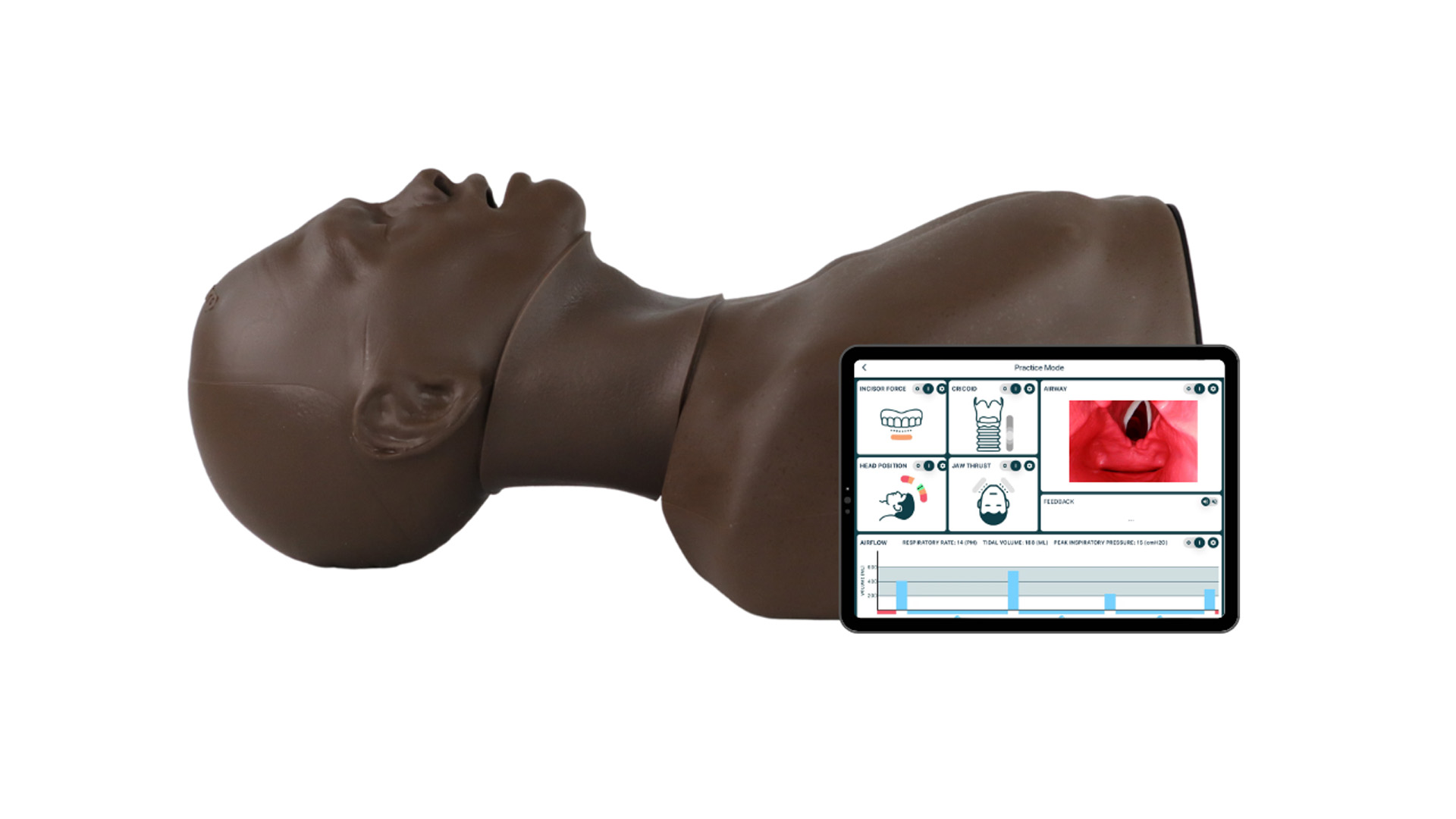 Smart Airway® Adult, Dark