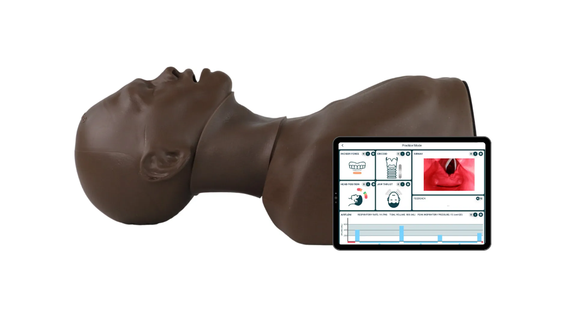 Smart Airway® Adult, Dark