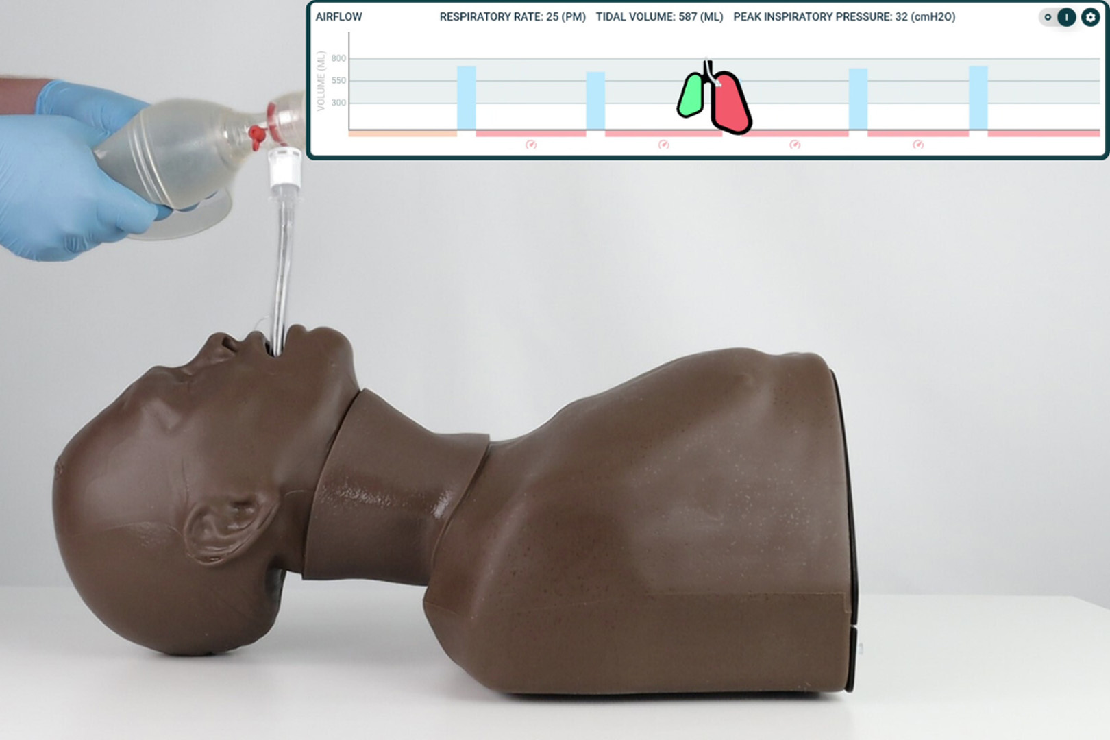 Smart Airway® Adult, Dark