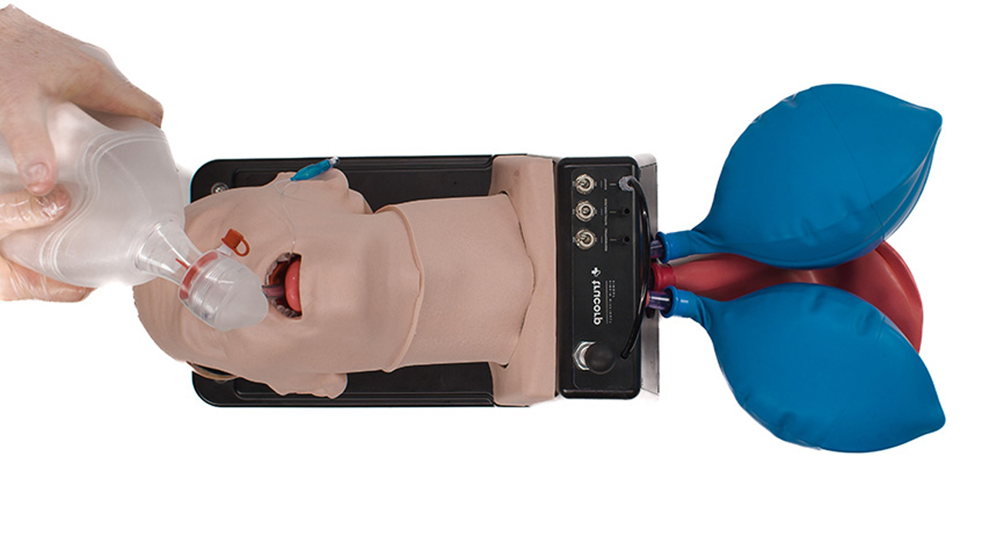 AirSim® Difficult Airway, Light