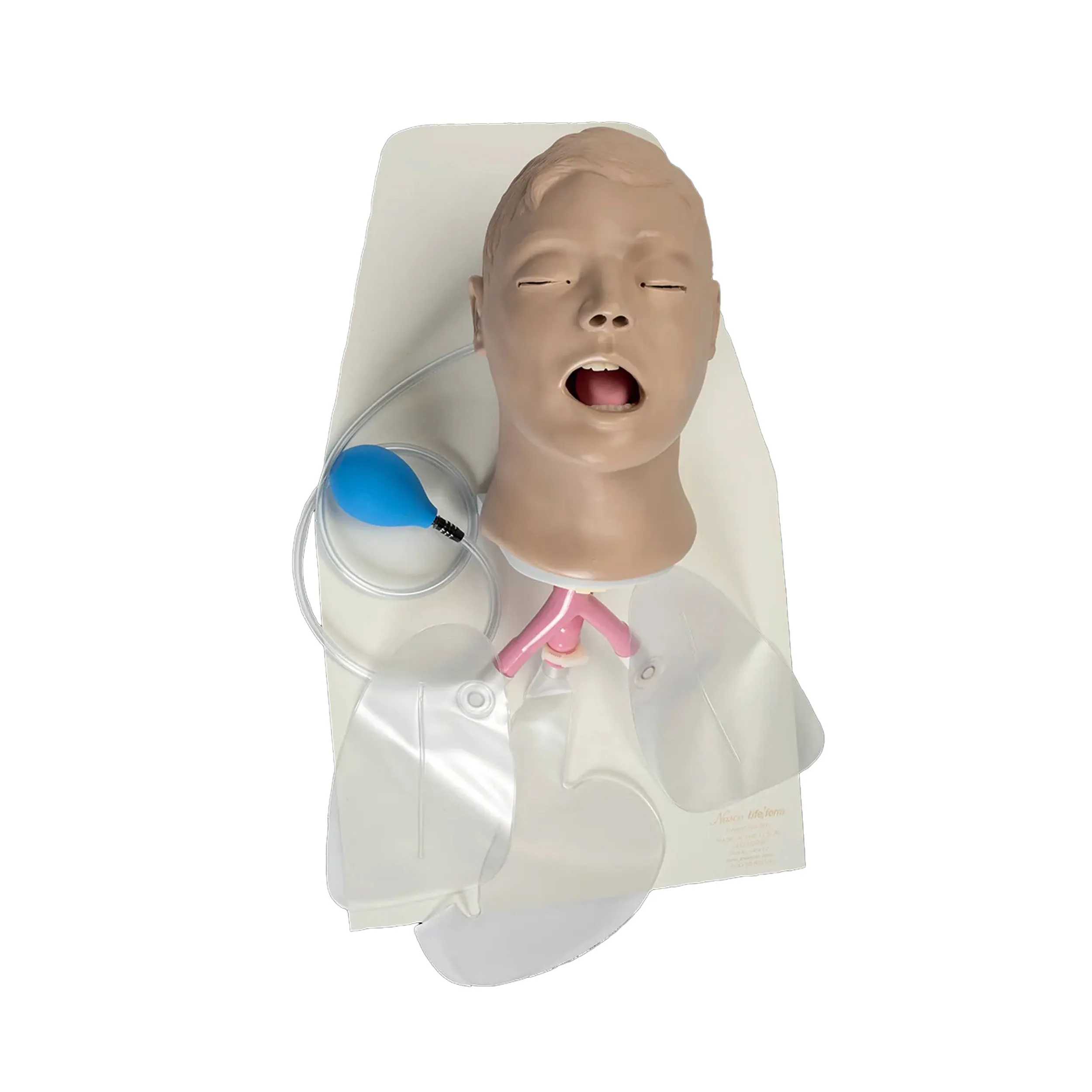 Airway Larry Adult Airway Management Trainer with Stand