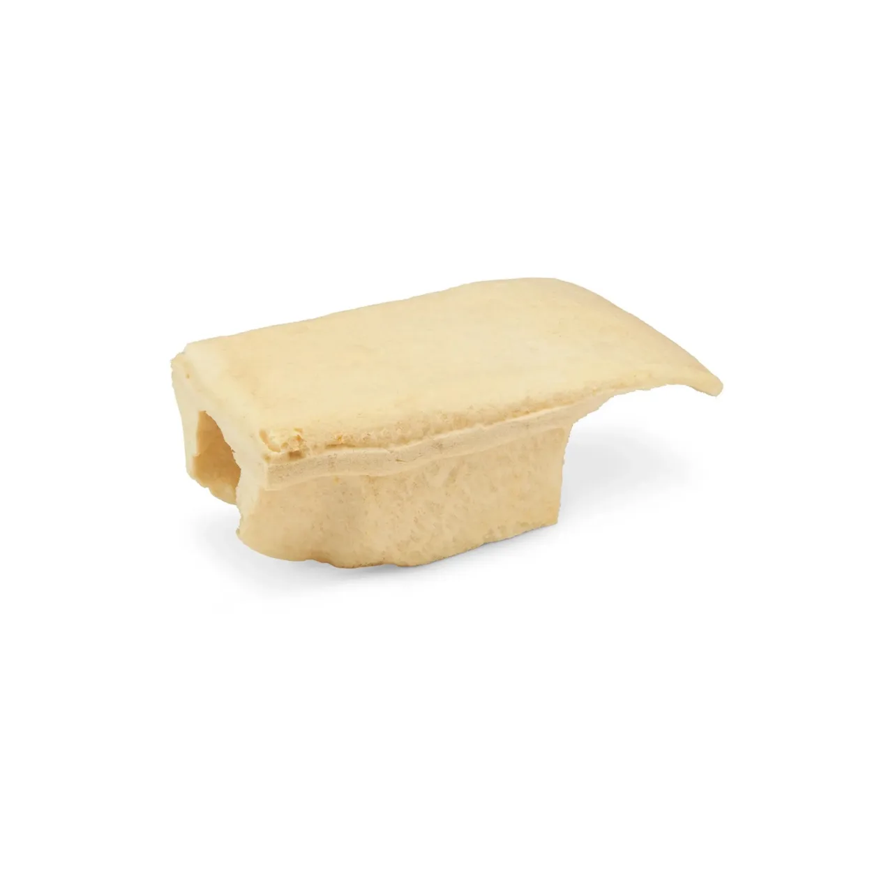 Replacement Foam Spinal Column