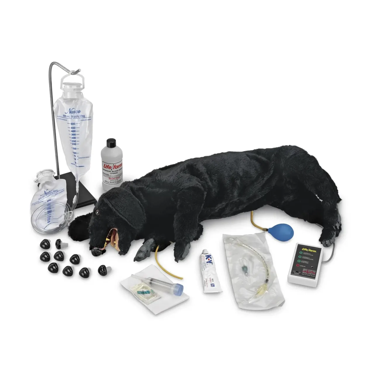 Advanced Sanitary CPR Dog