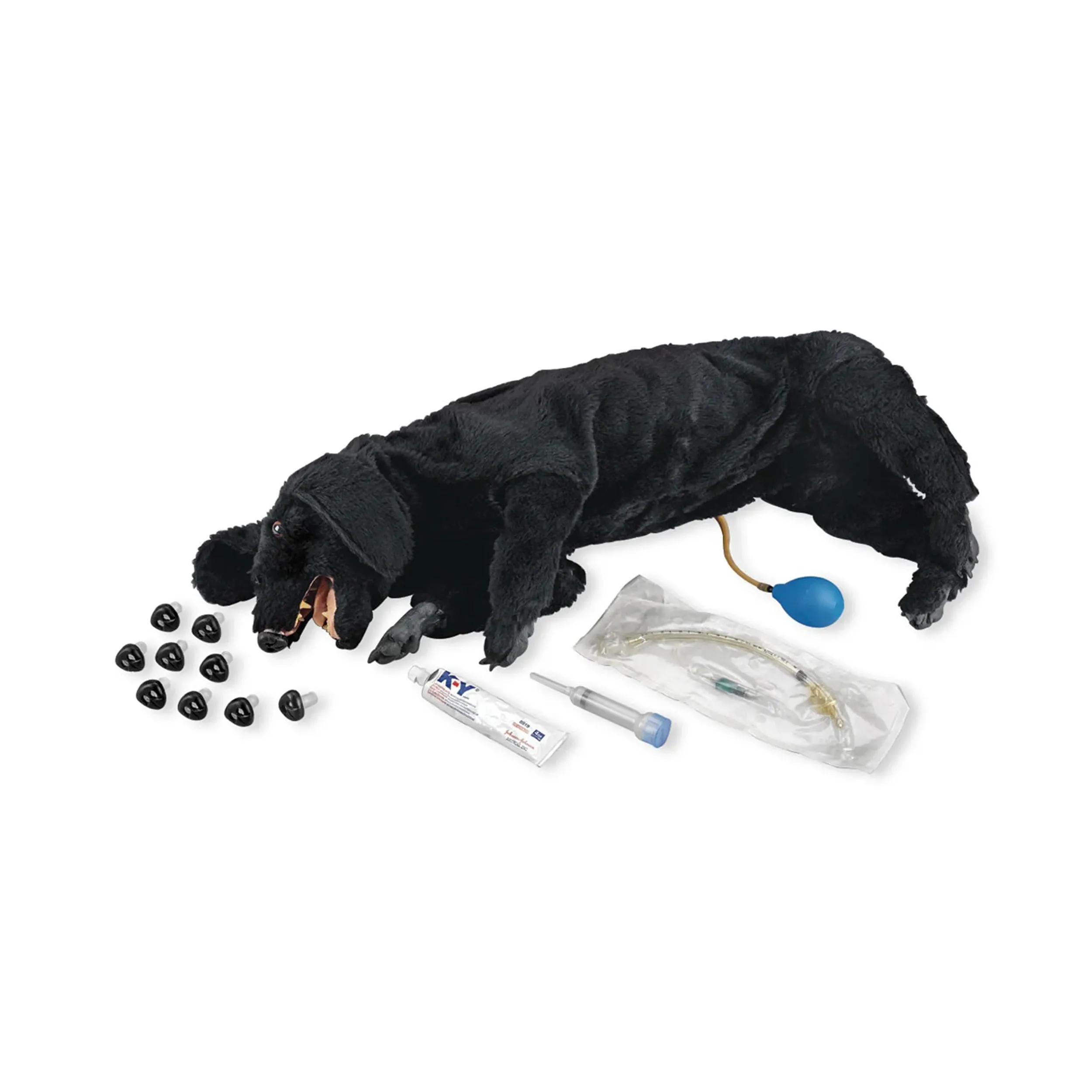 Basic Sanitary CPR Dog