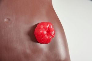 Stoma Care Torso, Dark
