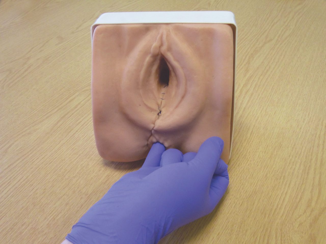Episiotomy Suturing/Perineal Repair Trainer