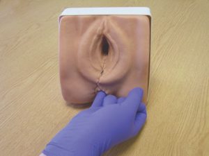 Episiotomy Suturing/Perineal Repair Trainer