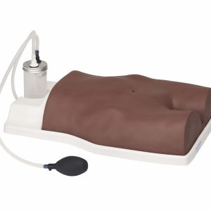 Suprapubic Training Model, Dark