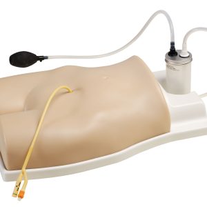 Suprapubic Training Model, Light