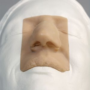Rhinoplasty Model