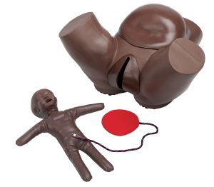 Obstetric Phantom With Fetal Doll, Dark