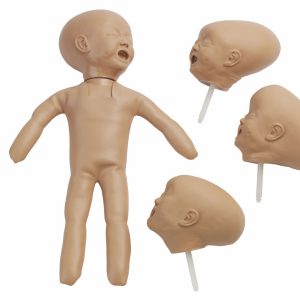 Fetal Doll With Four Heads, Light
