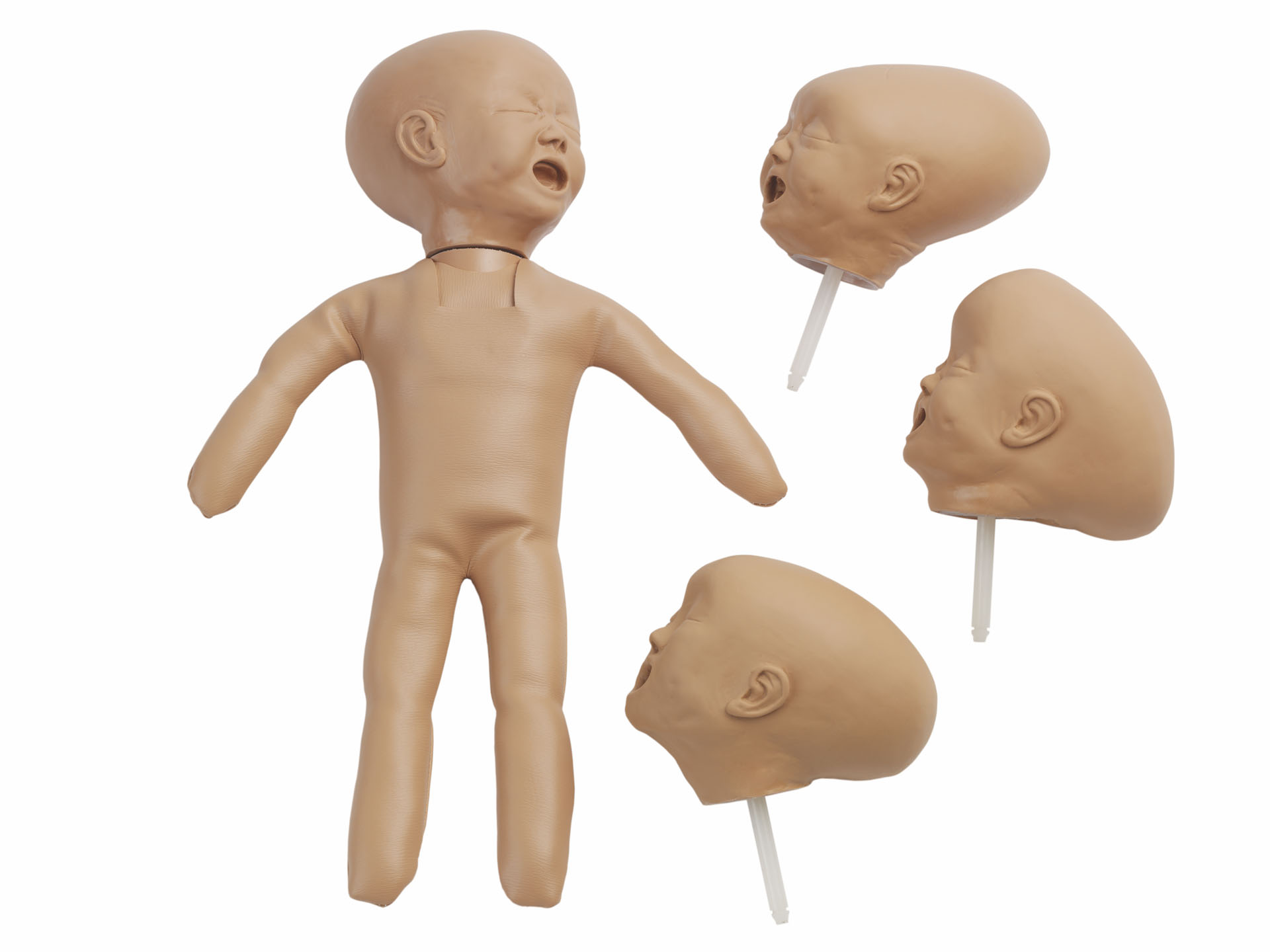 Fetal Doll With Four Heads, Light