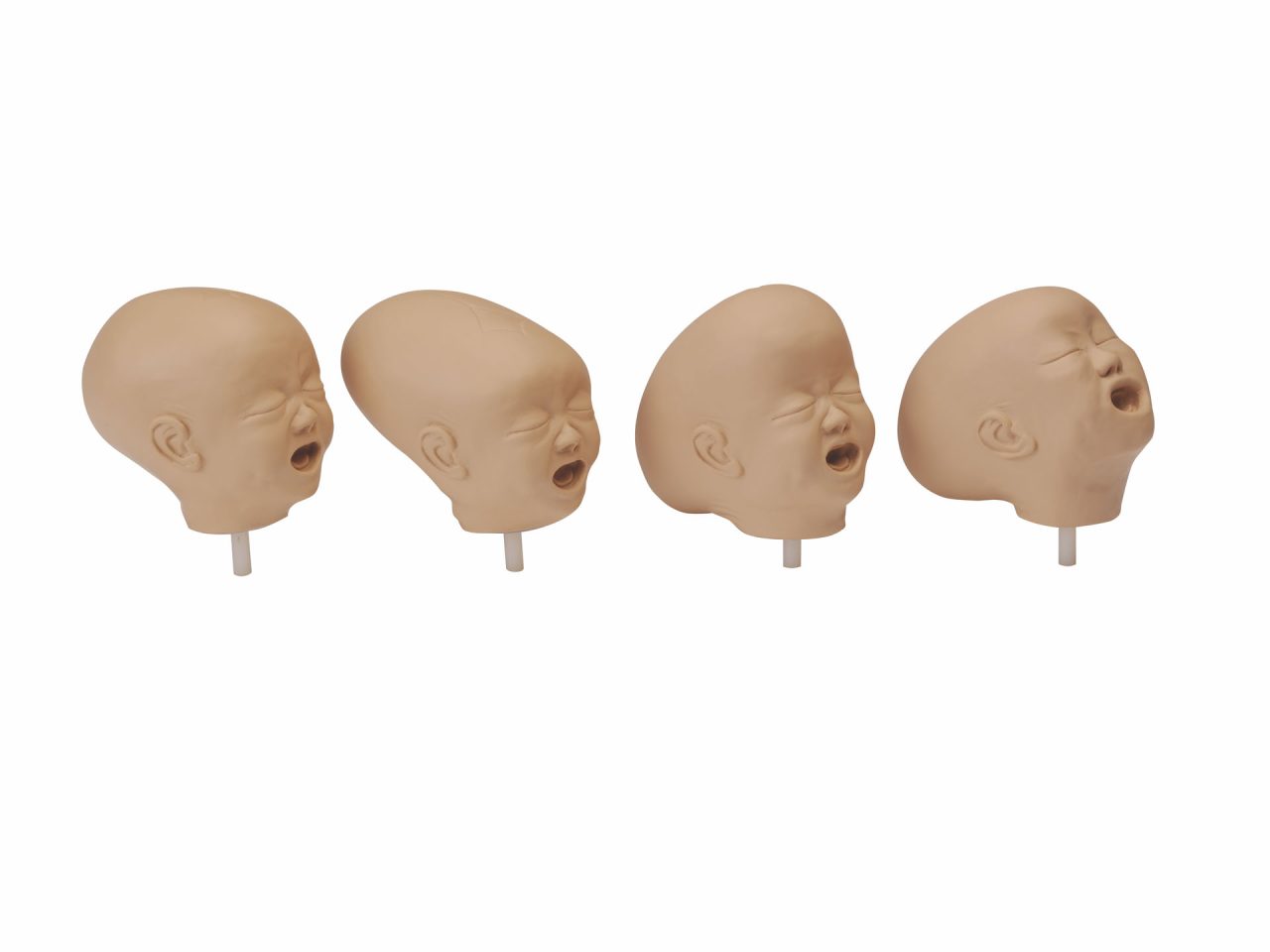 Fetal Doll With Four Heads, Light