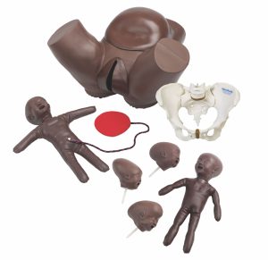 Obstetric Phantom Set, Dark