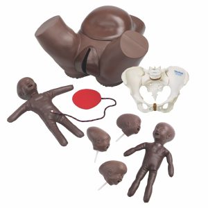 Obstetric Phantom Set, Dark