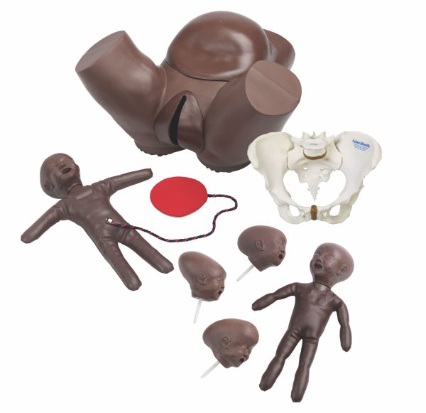 Obstetric Phantom Set, Dark | Adam,Rouilly