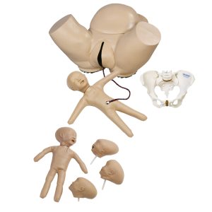 Obstetric Phantom Set, Light