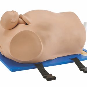 DISCONTINUED AR58 Desperate Debra® – Impacted Fetal Head Simulator