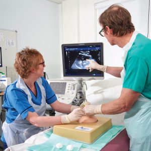 Amnio Abby® - Ultrasound Guided Invasive Procedures Simulator