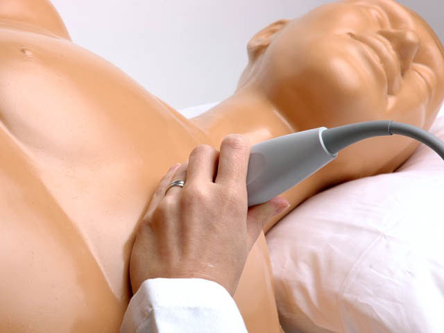 Transthoracic Echocardiography and Pericardiocentesis Ultrasound Training Model, With Head