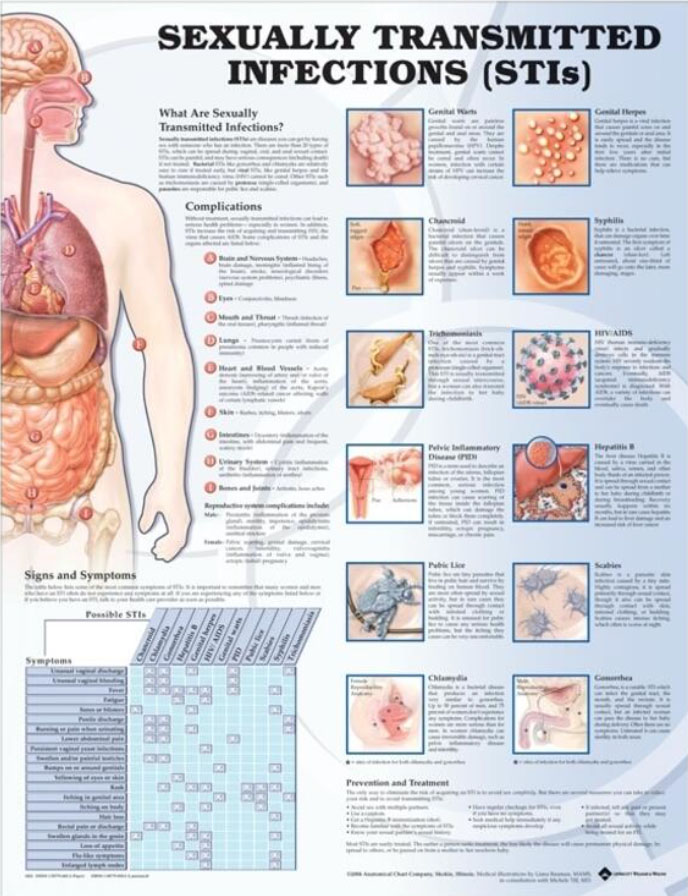Sexually Transmitted Infections Chart