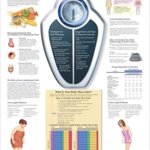 Maintaining a Healthy Weight Chart