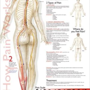 Understanding Pain Chart